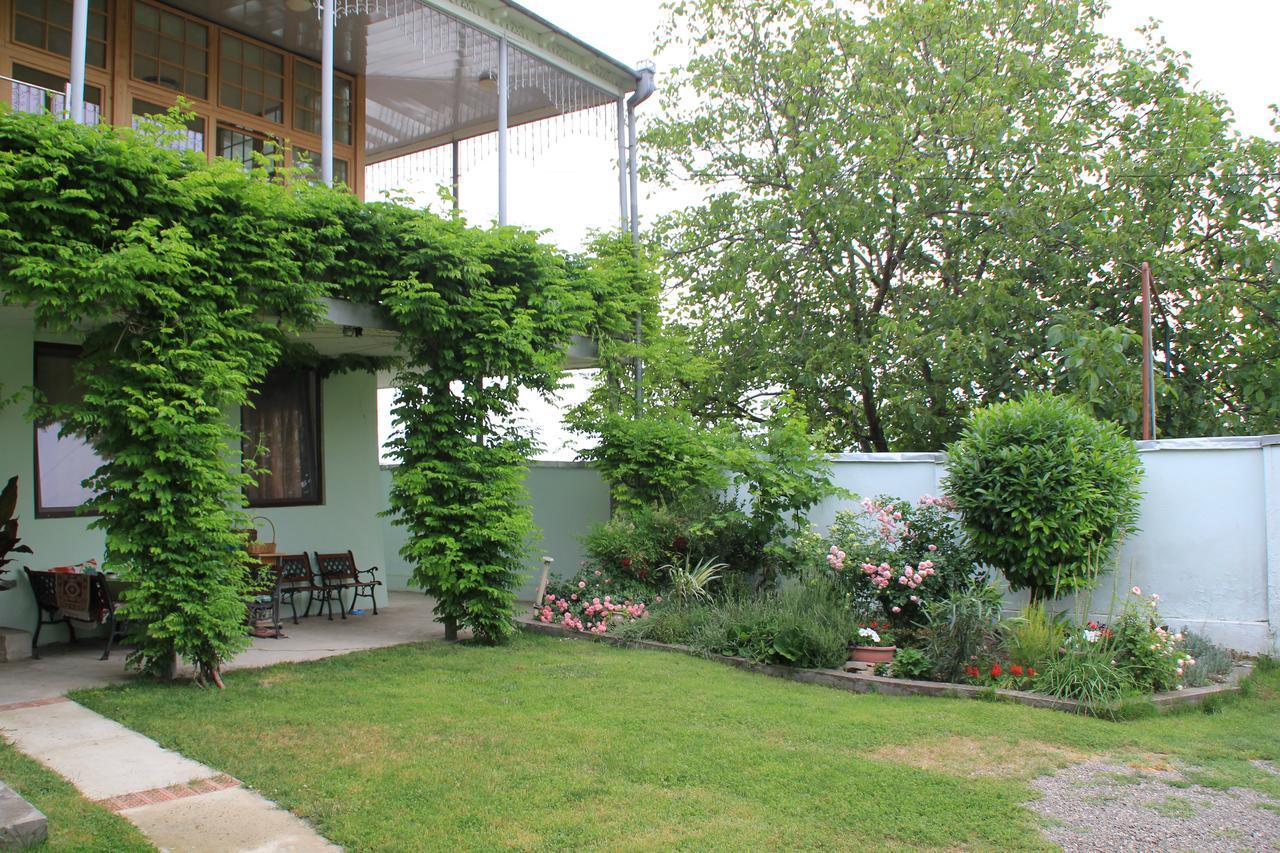 Villa Kursa Signagi Exteriér fotografie